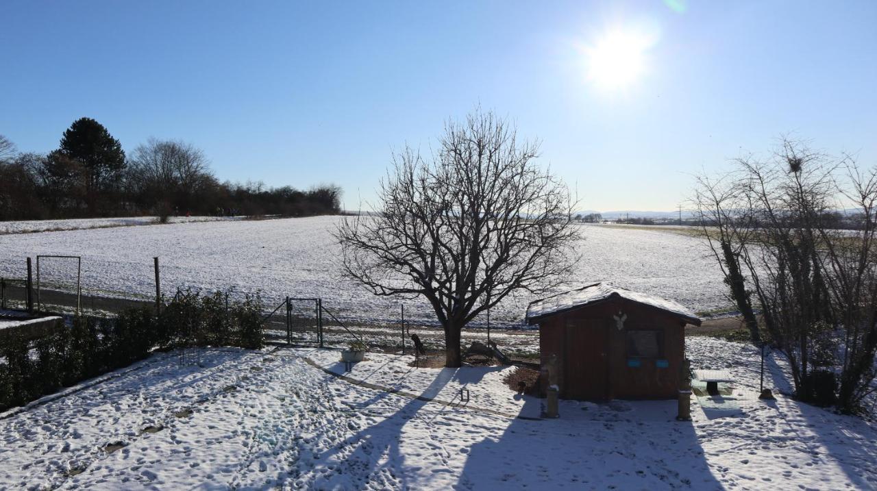 Charmante Ferienwohnung 100 Qm Groß-Umstadt Exteriör bild
