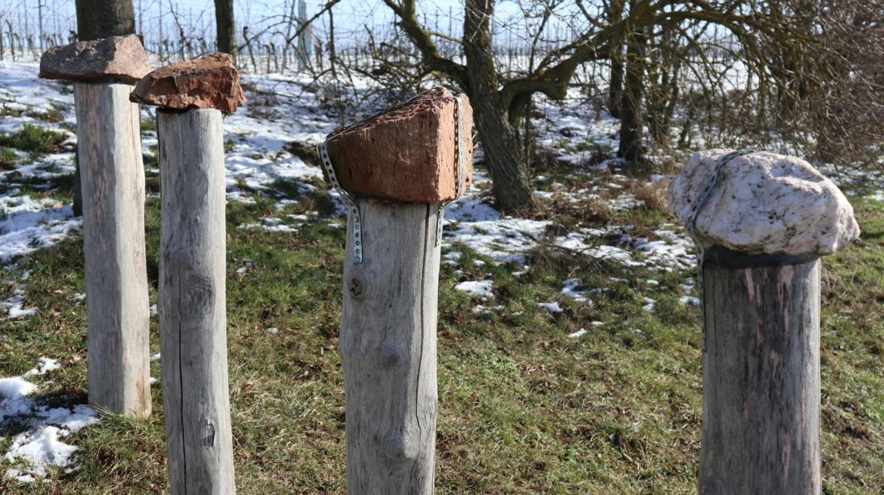 Charmante Ferienwohnung 100 Qm Groß-Umstadt Exteriör bild